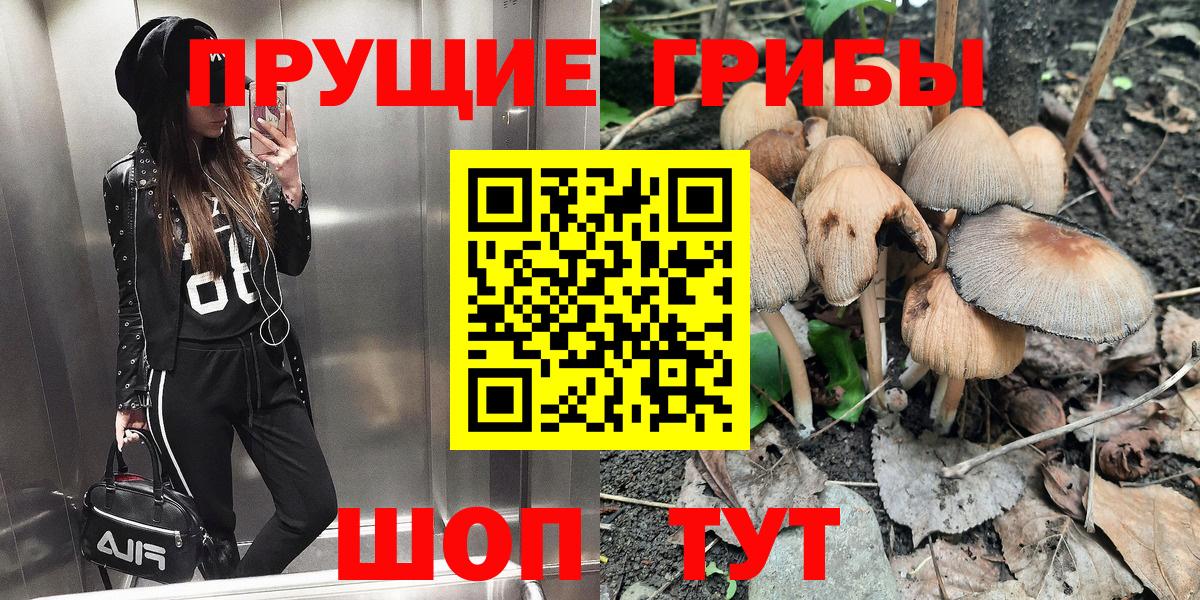 Псилоцибиновые грибы Psilocybe  Вход с VPN  Скопин  Галлюциногенные грибы Psilocybine cubensis 